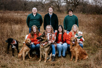 A family and their dogs